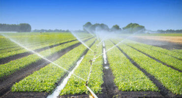 Agriculture & Irrigation